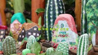 2025 군위형 마을만들기 사업 장기1리 돌 위에 피어난 선인장