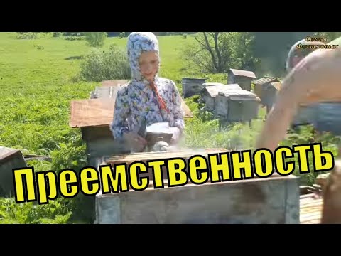 Преемственность. ГОРЕ огородники. /Семья Фетистовых