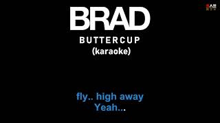 Karaoke Brad - Buttercup