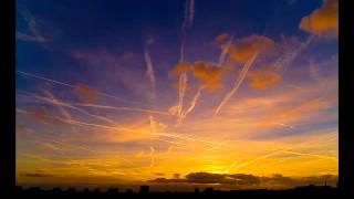 devin townsend - Terminal