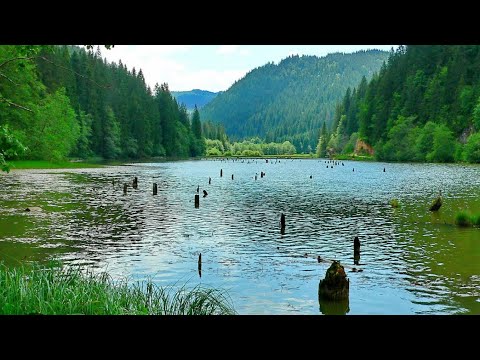RED LAKE Romania's Nature Oasis - Lacul Rosu