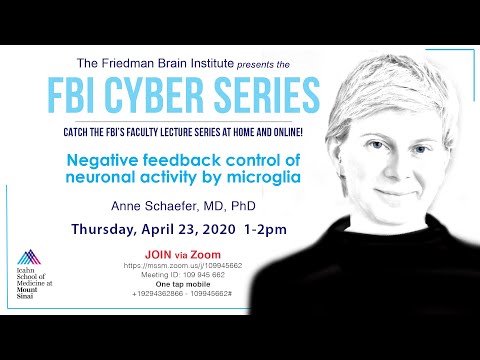 FBI Cyber Series - Negative feedback control of neuronal activity by microglia by Dr. Anne Schaefer