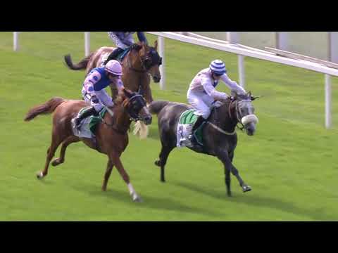 WATHBA STALLIONS CUP HANDICAP STAKES 0-65