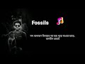 Sokhi Valobasa Kare Koy, Fossils, Bangla Lyrics Song