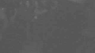 Hoods - 2 Pray for Death - Live at The Caravan