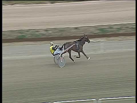 Trotto 04/03/2018 - prova di riqualifica