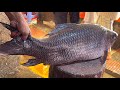 10 Kg Giant Rohu Fish Cutting With Huge Eggs In Fish Market | Fish Cutting Skills