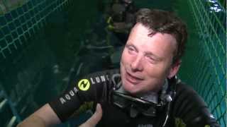 Shark dive Oceans Inc