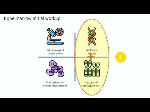 Advances in Hematology Molecular Diagnostics – Dr. Saeed Al Turki (September 15-16, 2023)