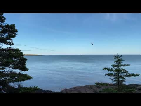 Irving Nature Park | Saint John | New Brunswick | Canada | Hiking | Vlog |  4K UHD