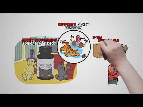 AminAvast Kidney Support for Cats (60 capsules) Video