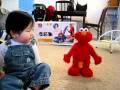 Joshua 航ちゃん And His New Elmo Live Encore Jan 10 2010