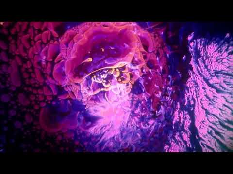 Attila Nator - Weekend Loop 1  #minimal #deeptech #rominimal