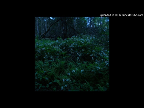 Warhol.ss x Famous Dex x Playboi Carti Type Beat - Peace ( Prodby Flaasko )