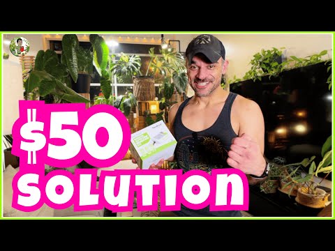 I Automated My Urban Jungle Watering for Under $50