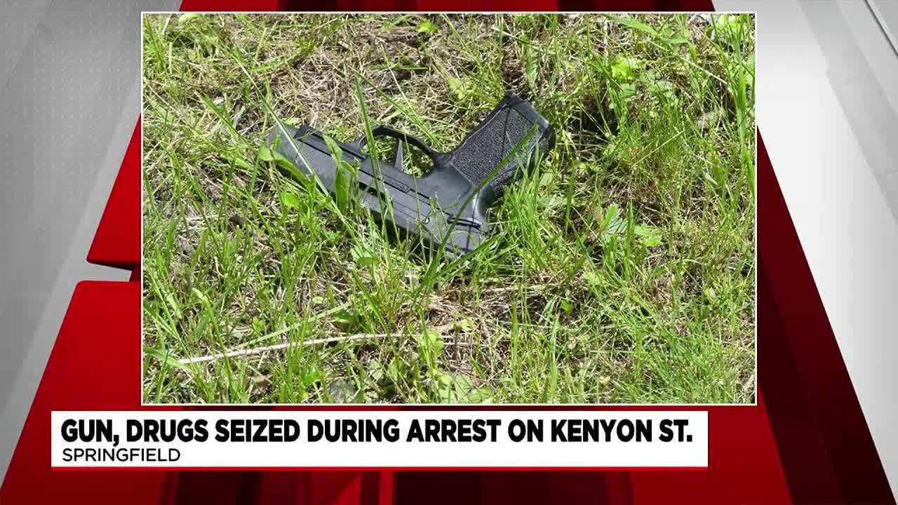 Springfield man arrested on gun, drug charges