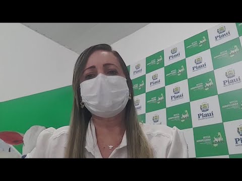 Piauí não atinge meta de vacinação contra febre aftosa e prazo é prorrogado 04 12 2021
