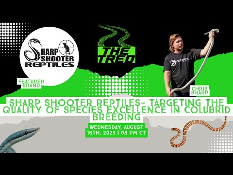 Sharp Shooter Reptiles - Targeting the Quality of Species Excellence in Colubrid Breeding