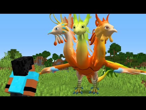 COMO DOMESTIQUEI UM DRAGÃO DE 3 CABEÇAS!