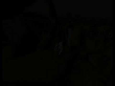 To Foxx (Eitrigg) from Agreziv (MDZ)