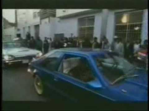 San Quinn-Shock The Party