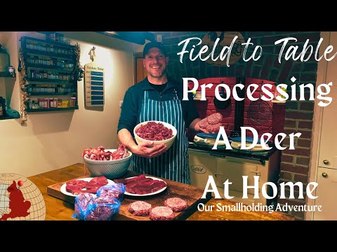 How To Skin & Butcher A Deer At Home - Step by Step Tutorial | UK Smallholding Life