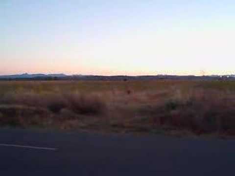 Jakobsweg live 2007; Sonnenaufgang