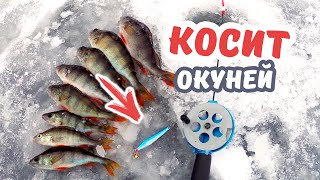 Зимняя рыбалка на блёсны и балансиры