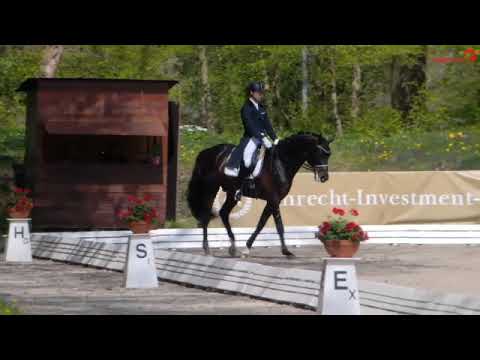 Hannes Luett  - Fürst Fabrice - Schenefeld - S*Dressur Trense