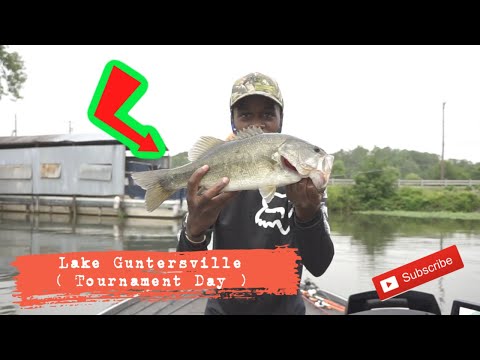Fishing For Giant Bass On Lake Guntersville !!
