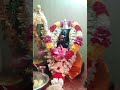 Lord Ganesha Devotional Song Shorts