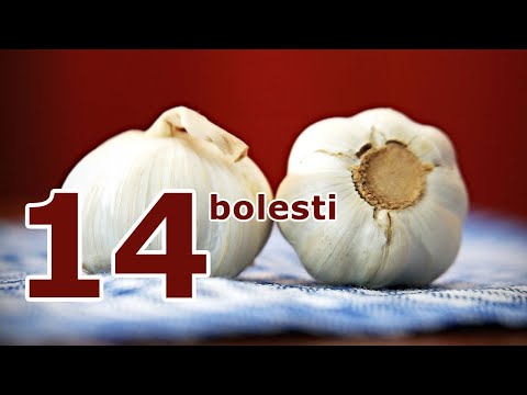 BELI LUK leči čak 14 bolesti