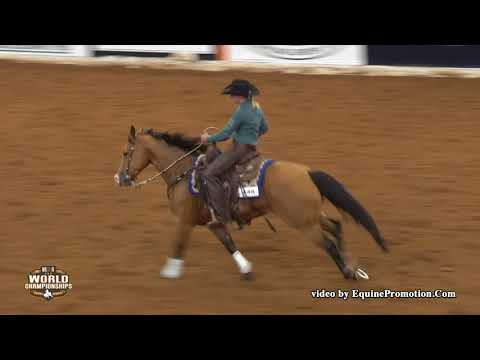 Shiners Darlin ridden by Sarah L. Dawson  - 2018 Celebration of Champions (Open Bridle, Prelims)