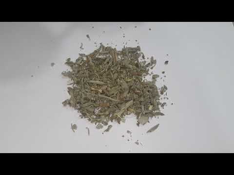 Green dried sage herb, packaging type: pp bag