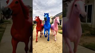 Download lagu Aumi Rides a Colorful Horse with Her Father mp3 Download lagu Aumi Rides a Colorful Horse with Her Father mp3