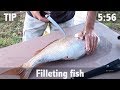 How to Fillet Fish