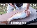 How To Fillet Fish