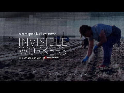 Unsichtbare Arbeiter: unterbezahlt, ausgebeutet und gefährdet auf Europas Bauernhöfen
