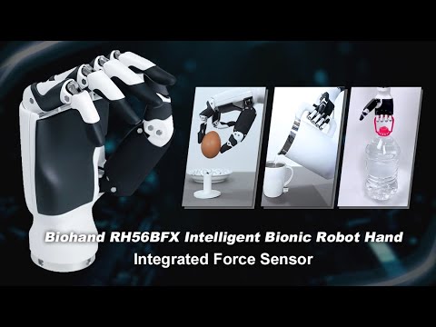 The Pianists (RH56BFX) Review Video 1