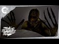 BED HEAD | Featured Creature | Short Film
