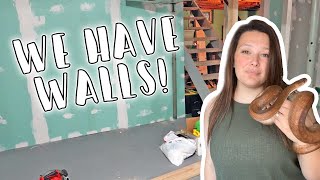 Reptile Basement Update! // Life Updates