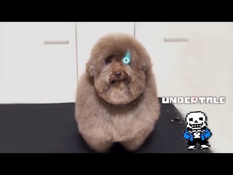 Scoobert - Megalovania