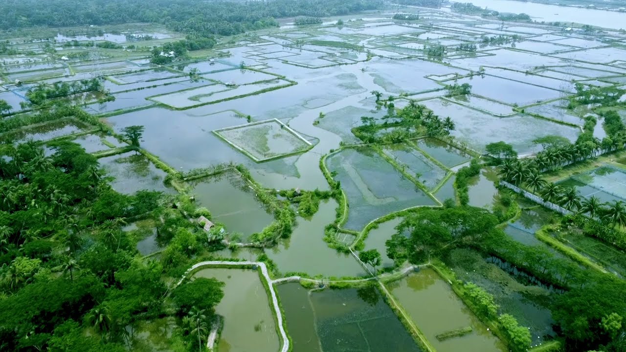 Documentary on Greening TVET Institution || ILO