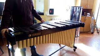 Video thumbnail for Marimba Yamaha YM40 Made In Japan...Dk by Костя Дудник