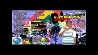 VIDA VS 2013 DJ EVERSON ROOTS