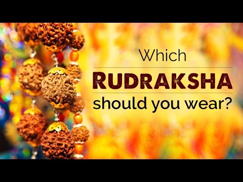 Which rudraksha should wear