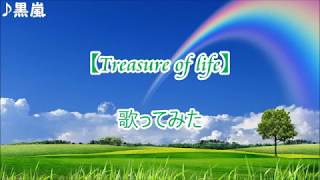 嵐 【Treasure of life】 歌ってみた