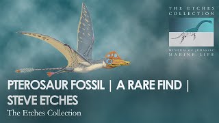 PTEROSAUR FOSSIL | STEVE ETCHES