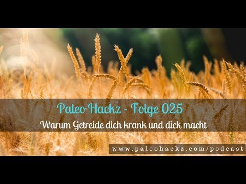 Warum Getreide dich dick und krank macht