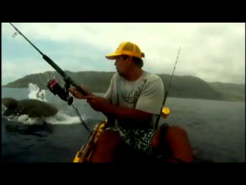 Kayak fisherman has close encounter with shark